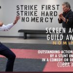 Ralph Macchio Instagram – #sagawards nomination @cobrakaiseries Outstanding Stunt Ensemble! #netflix
