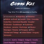 Ralph Macchio Instagram - Thank you fans the world over! @cobrakaiseries is #1 globally on @netflix ! You guys ARE the best… 😉🥋