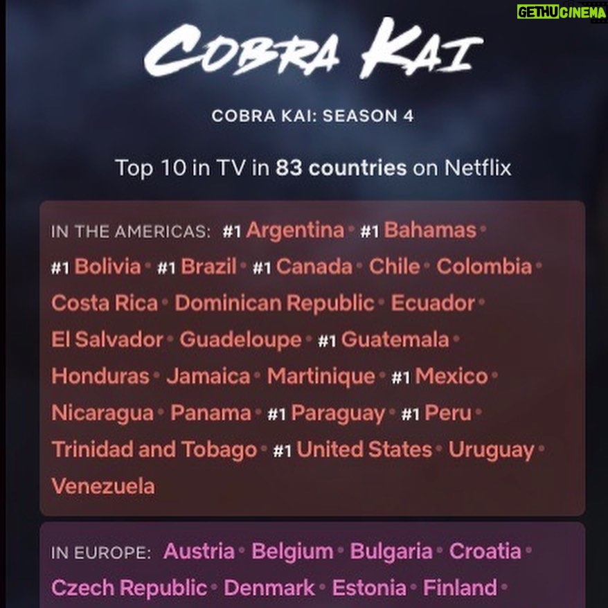 Ralph Macchio Instagram - Thank you fans the world over! @cobrakaiseries is #1 globally on @netflix ! You guys ARE the best… 😉🥋