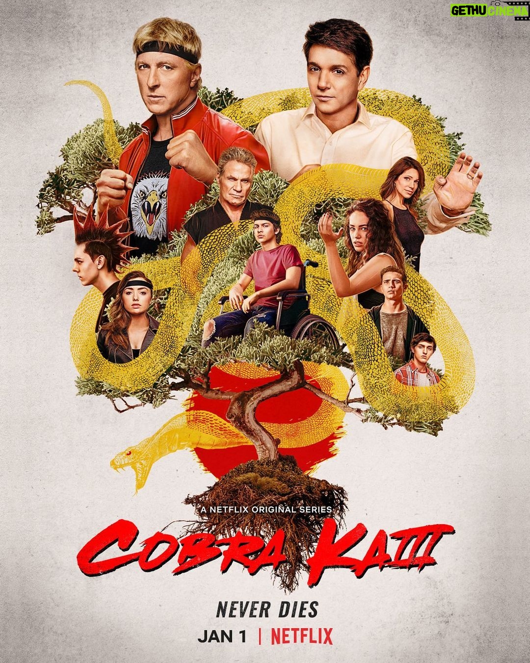 Ralph Macchio - 126K Likes - New Season! New Poster!@cobrakaiseries Season 3!
January, 1st 2021! #netflix #cobrakai #miyagido 🥋
