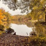 Ralph Macchio Instagram - #Autumn #NYC 10/26/2022