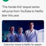 Ralph Macchio Instagram - BIG NEWS!! #CobraKai New Home is #netflix !!! for more details check link in my bio