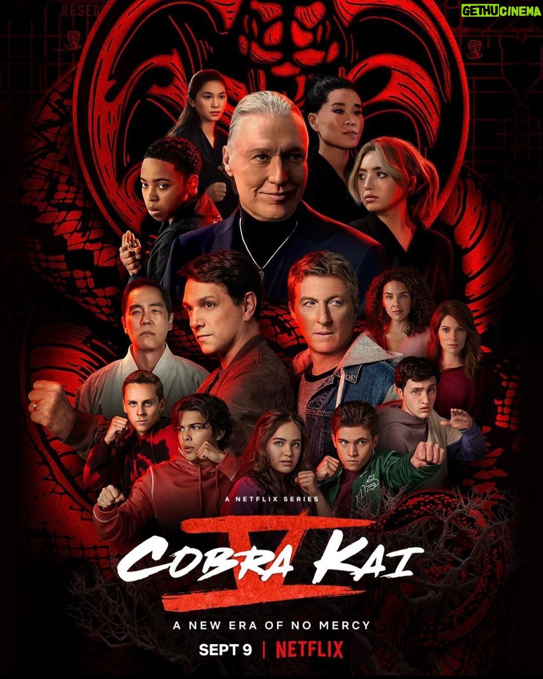 Ralph Macchio - 189.4K Likes - #cobrakaiseason5 POSTER!!
10 NEW Episodes coming Sept 9th!!🥋