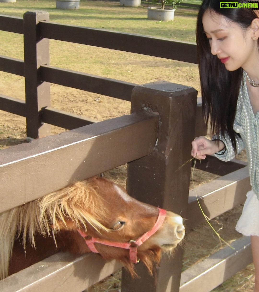 Ramida Jiranorraphat Instagram - น้อน🐴