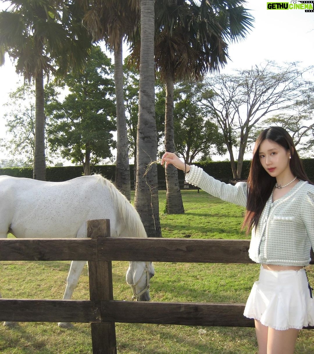 Ramida Jiranorraphat Instagram - น้อน🐴