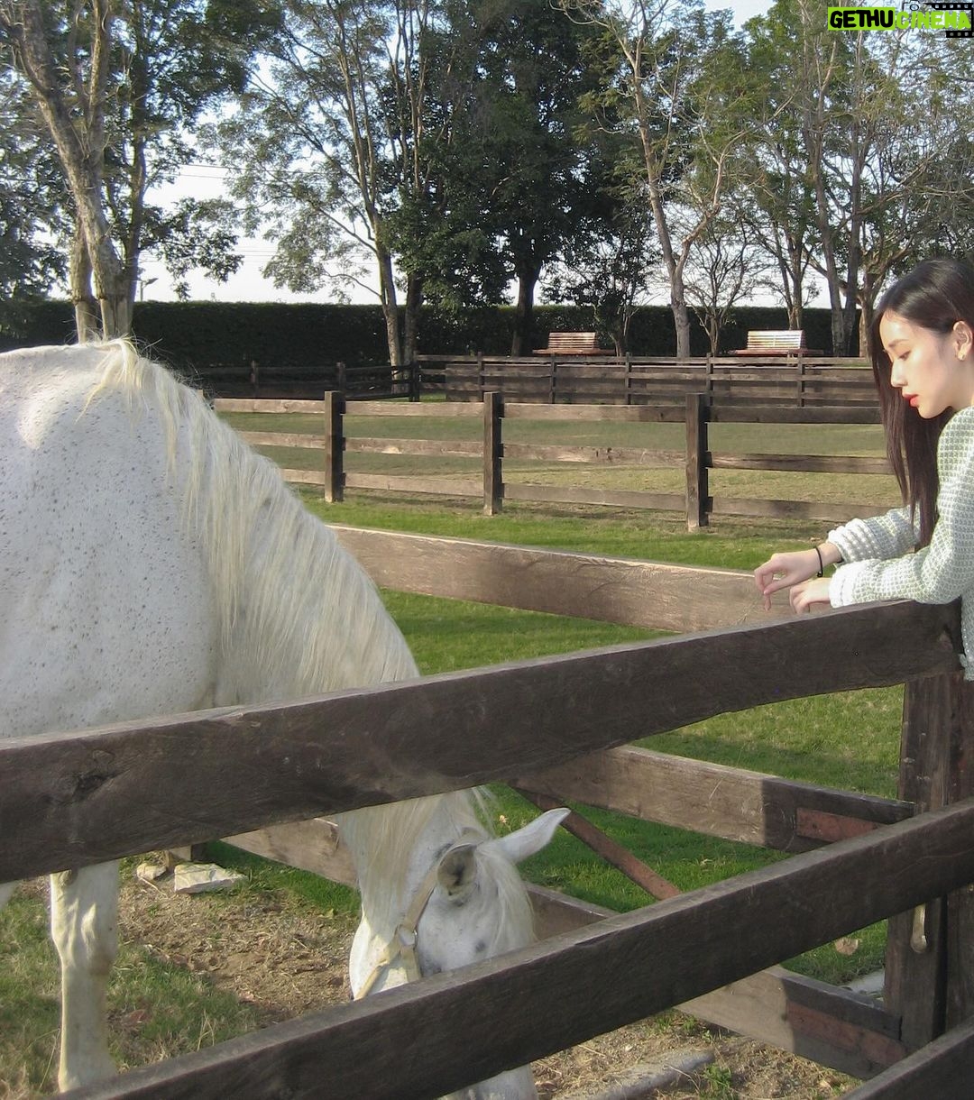 Ramida Jiranorraphat Instagram - น้อน🐴