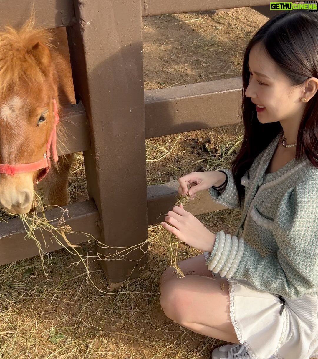 Ramida Jiranorraphat Instagram - น้อน🐴