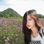 Ramida Jiranorraphat Instagram - 🌷