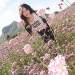 Ramida Jiranorraphat Instagram - 🌷
