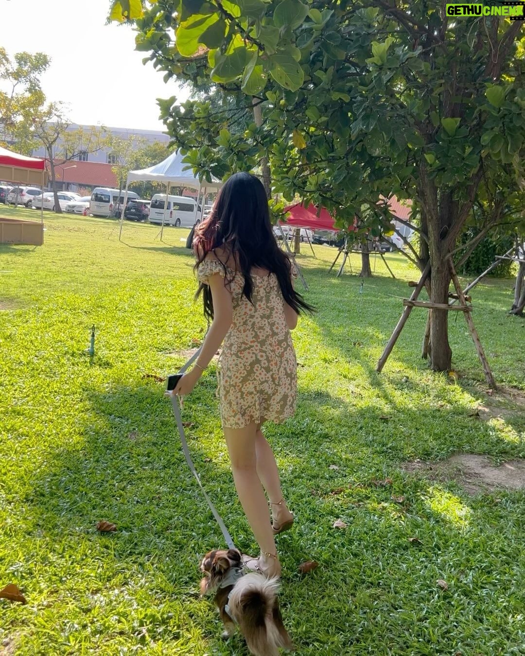 Ramida Jiranorraphat Instagram - 🐶