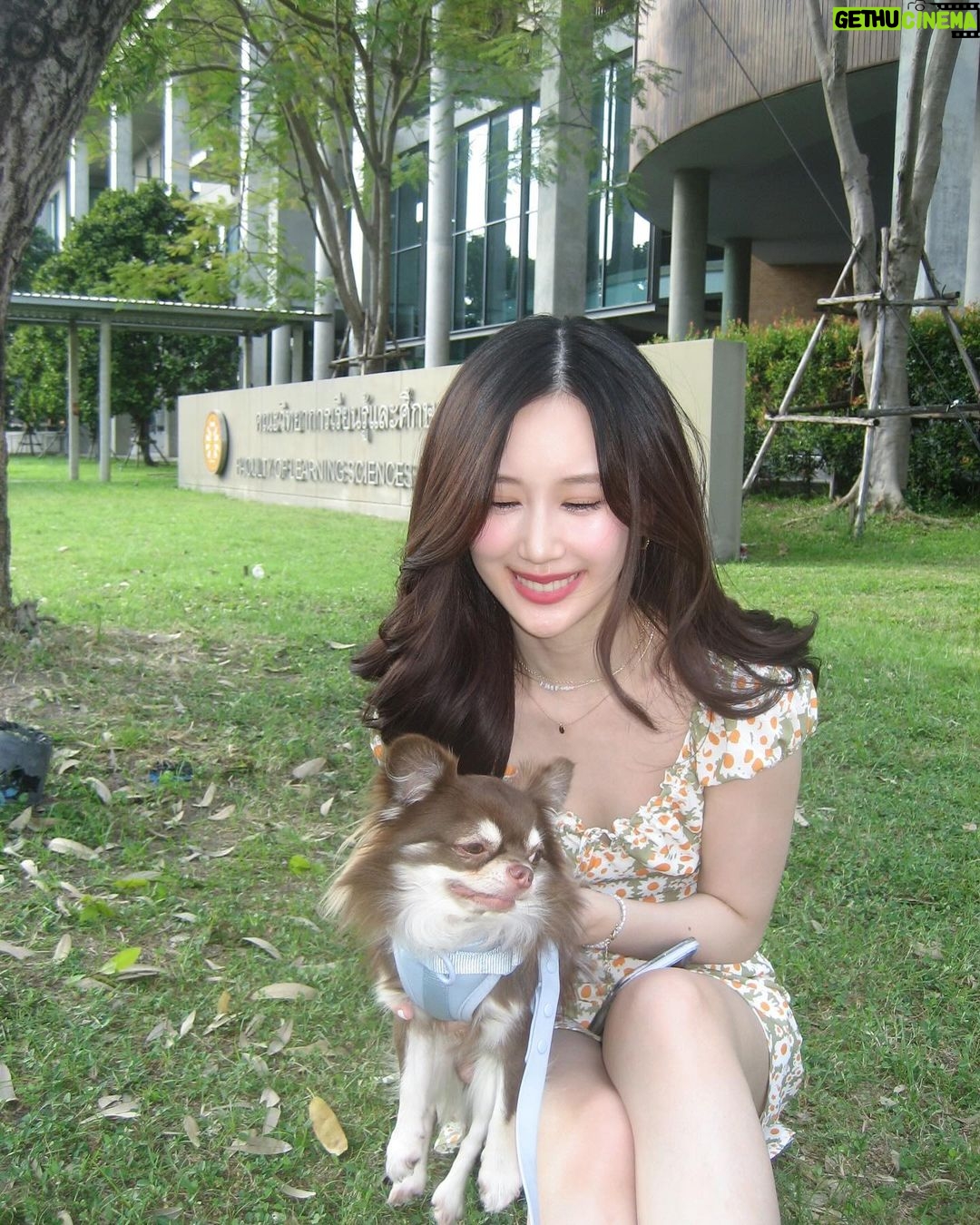 Ramida Jiranorraphat Instagram - 🐶