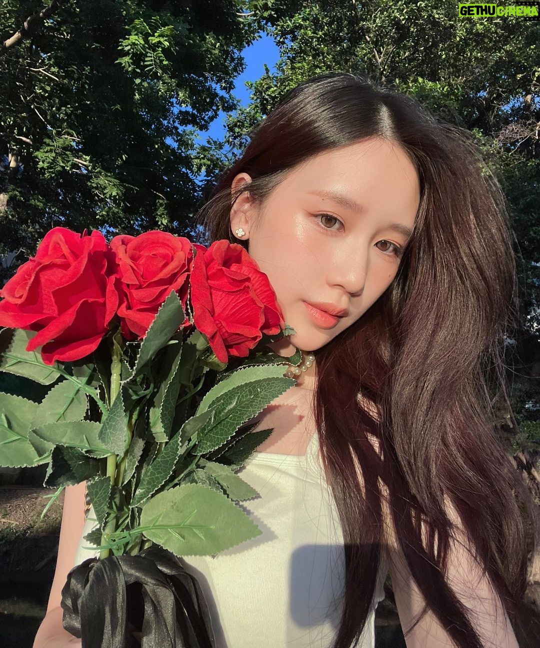 Ramida Jiranorraphat Instagram - Roses are red🥀