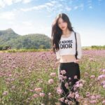 Ramida Jiranorraphat Instagram - 🌷