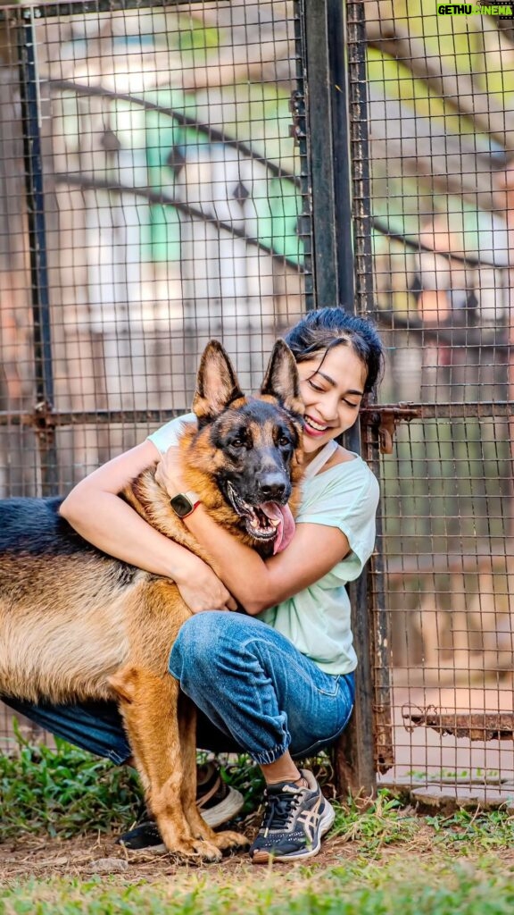 Ramya Subramanian Instagram - Happy Bark Day, my Wonder-FOUR little monster !😘😍 Whenever I see your happy face,I get instantly super happy too. Love you my little bundle of happiness and May you stay with me fur-ever !🤗♥️ #HeroTurns4 📸 - @the_orangerider