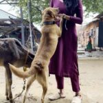 Ramya Subramanian Instagram - In a world filled with superlatives,this was a day of me having joy in simplicity exploring The Isha Foundation last weekend . 🚴🐮🌱🥗 Here’s to embracing the beauty doing the smallest of things in 2024 . #simplejoys #IshaFoundation