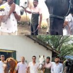 Randeep Hooda Instagram – “घोड़ा एक शस्त्र ही माना जाता है। इसीलिए विजयदशमी को घोड़ों की पूजा की जा ती है ॥” what a memorable day on #Dussehra at the stables with family and friends ..#ashwapoojan #Ranji #colossus #cupa 
#reelsinstagram #reelsindia #reelkarofeelkaro #horsesofinstagram #horselover #horseparent #explore Mahalaxmi Race Course