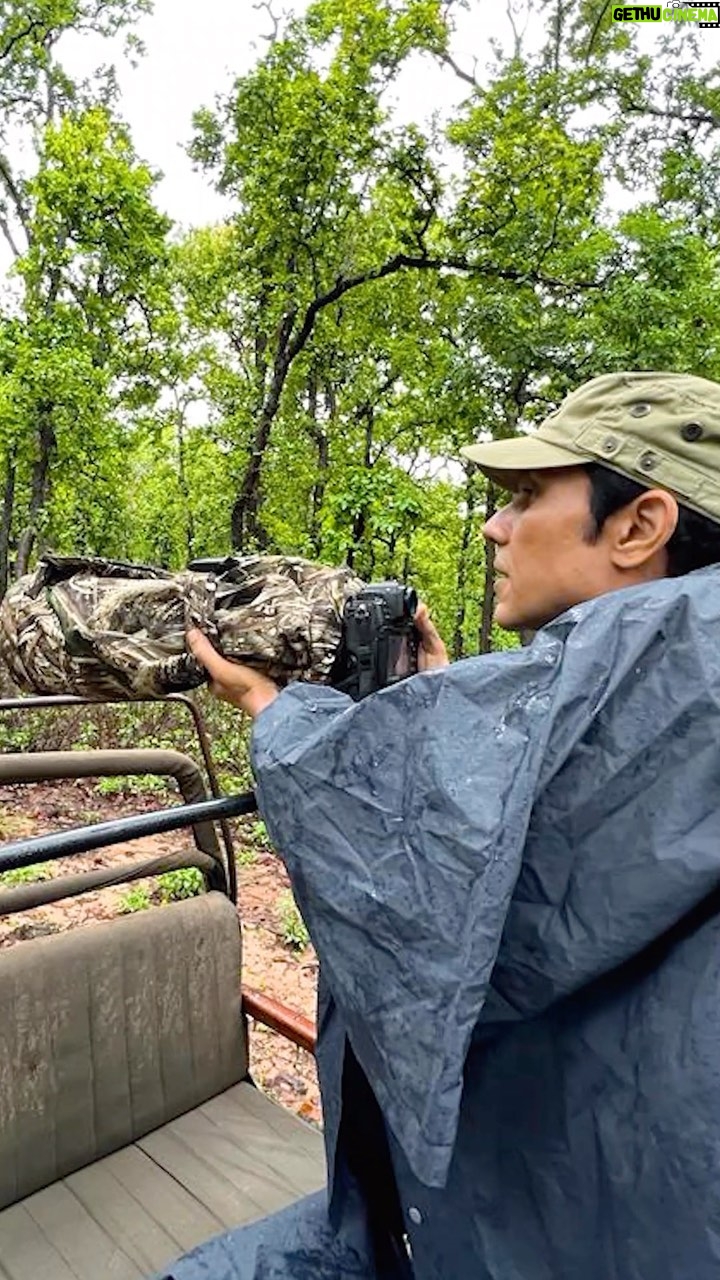Randeep Hooda Instagram - Got to set myself free from gruelling work into the natural world #kanha after a year .. Thank you @tulitigerresortkanha for a wonderful, refreshing stay š¤ Shot With the advanced camera, #NikonZ9 in my hand coupled with the best in class glass, 400mm f/2.8 Z TC, I could make some images that I shall be sharing soon !! #reelsinstagram #explore #wildrandeep #Jungleehooda #wildlifephotography #wildlifephotographer #nationalpark #forest #rains #forestphotography #bear #tiger #reelsindia #travelphotography