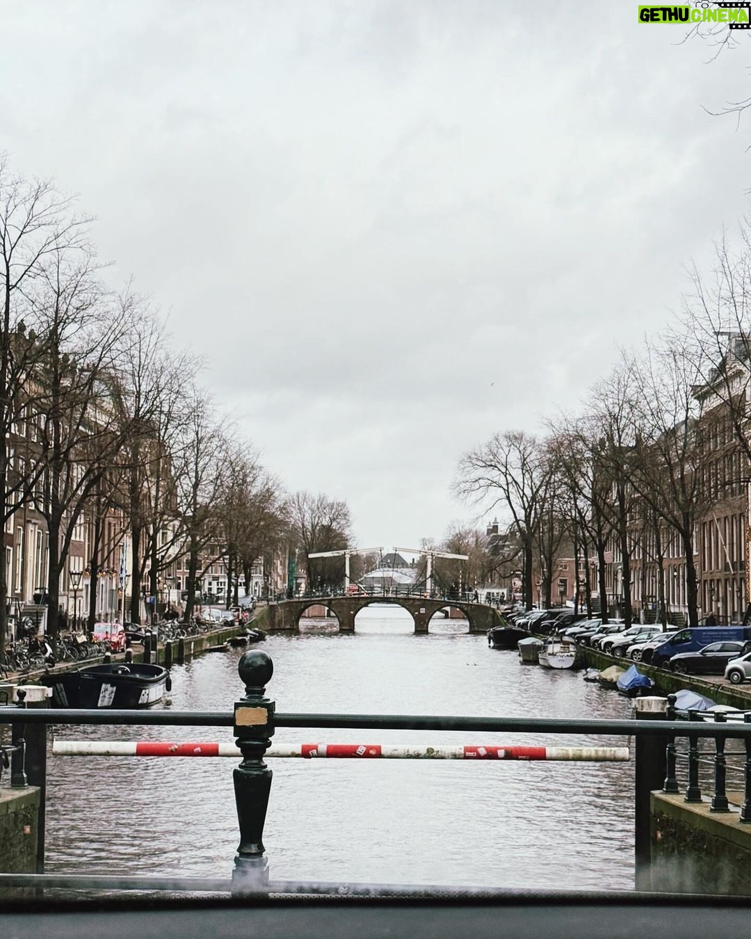 Ranee Campen Instagram - 🦓 #Amsterdamอัมเบรล่าพังไม่ไหว Amsterdam, Netherlands