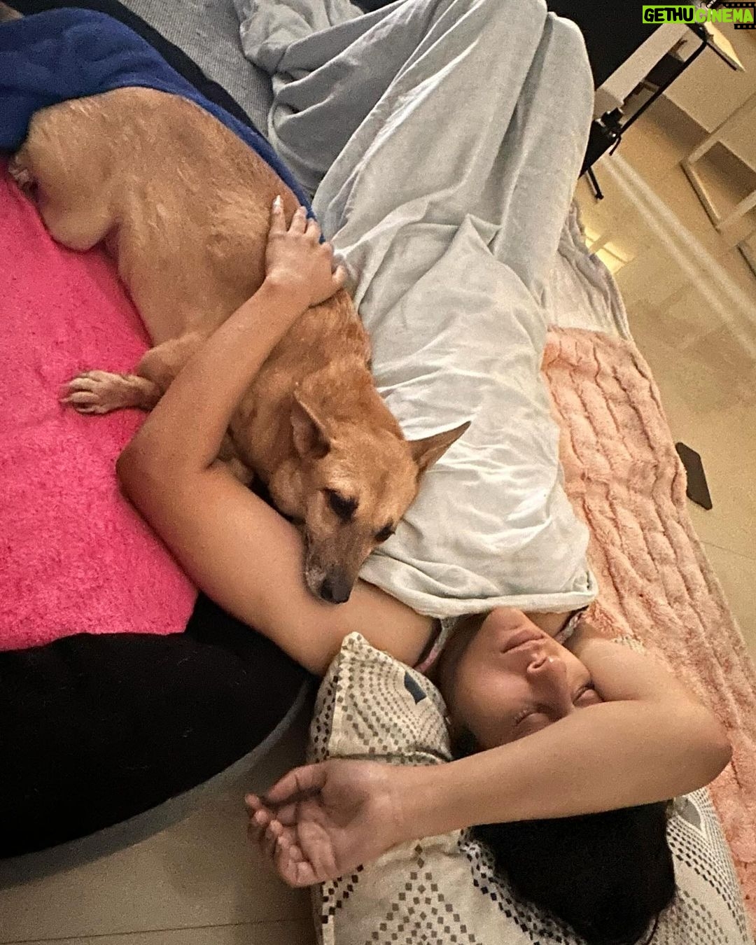 Rashmi Gautam Instagram - Last 24 hrs with my sassy princess 👸 my golden girl Love you my baby girl Until next time Chutki Gautam signing ✍️ off 09-03-2024 #chutkigautam