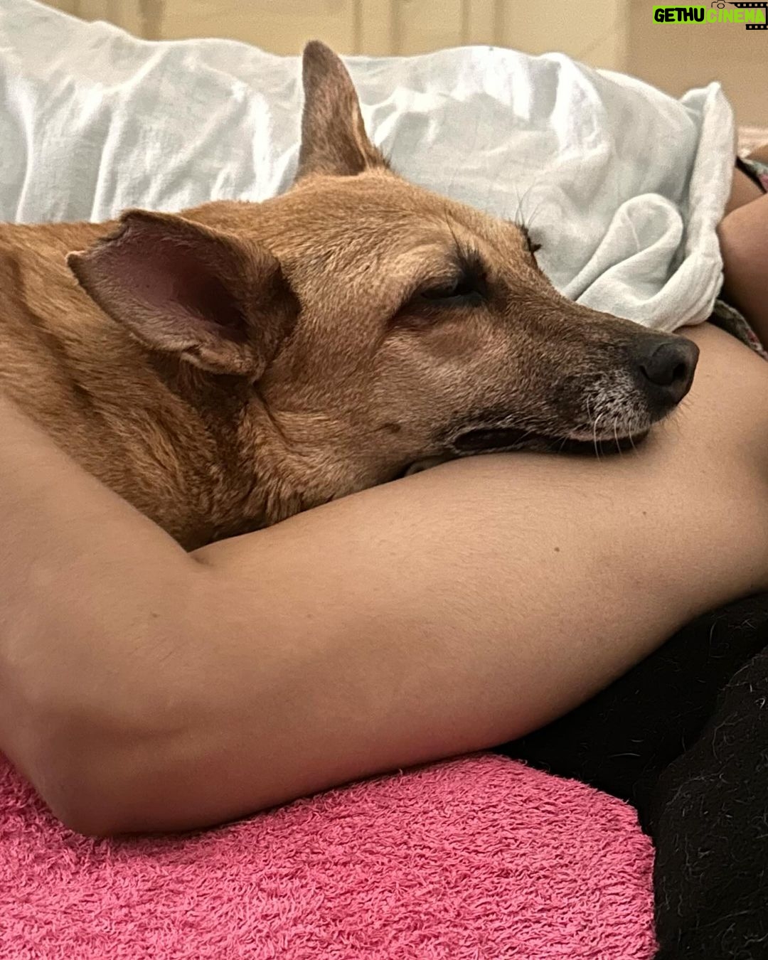 Rashmi Gautam Instagram - Last 24 hrs with my sassy princess 👸 my golden girl Love you my baby girl Until next time Chutki Gautam signing ✍️ off 09-03-2024 #chutkigautam