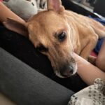 Rashmi Gautam Instagram - Last 24 hrs with my sassy princess 👸 my golden girl Love you my baby girl Until next time Chutki Gautam signing ✍️ off 09-03-2024 #chutkigautam