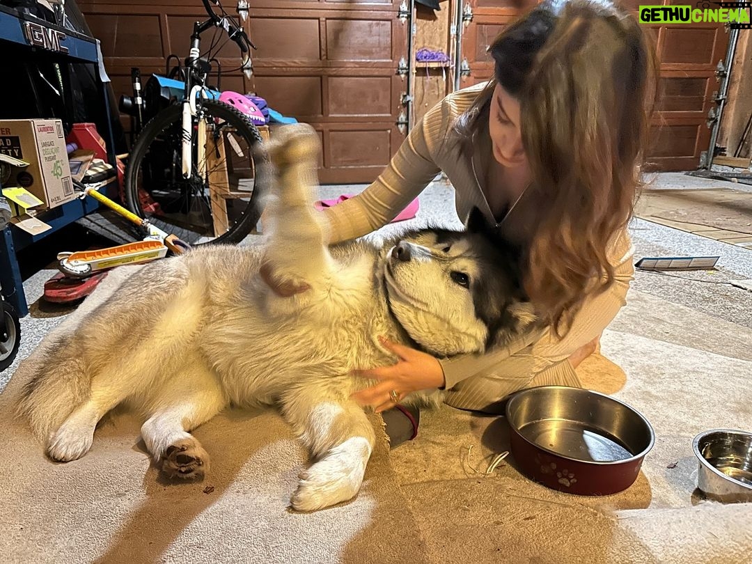 Rasika Sunil Instagram - Ambar ❤️ My malamute love ❤️
