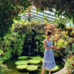 Ravshana Kurkova Instagram - Листья кувшинок Victiria amazonica (за моей спиной) могут достигать 2 м в диаметре и выдерживать вес человека… Проверять, однако, воздержусь 🤭 А если назвать 2 самых главных по красоте мест на острове Искья, для меня, пожалуй, это сады Ла Мартелла и Арагонский Замок 🤗☀️ Ischia, Italy
