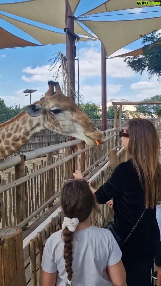 Raya Abirached Instagram - Grateful for days like today... @dubaisafari @visitdubai.ar Dubai Safari Park