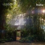 Regina Hall Instagram - Our transformation begins soon! Can’t wait to see you all tomorrow at Tranquillum. Stream #nineperfectstrangers August 18, only on @hulu