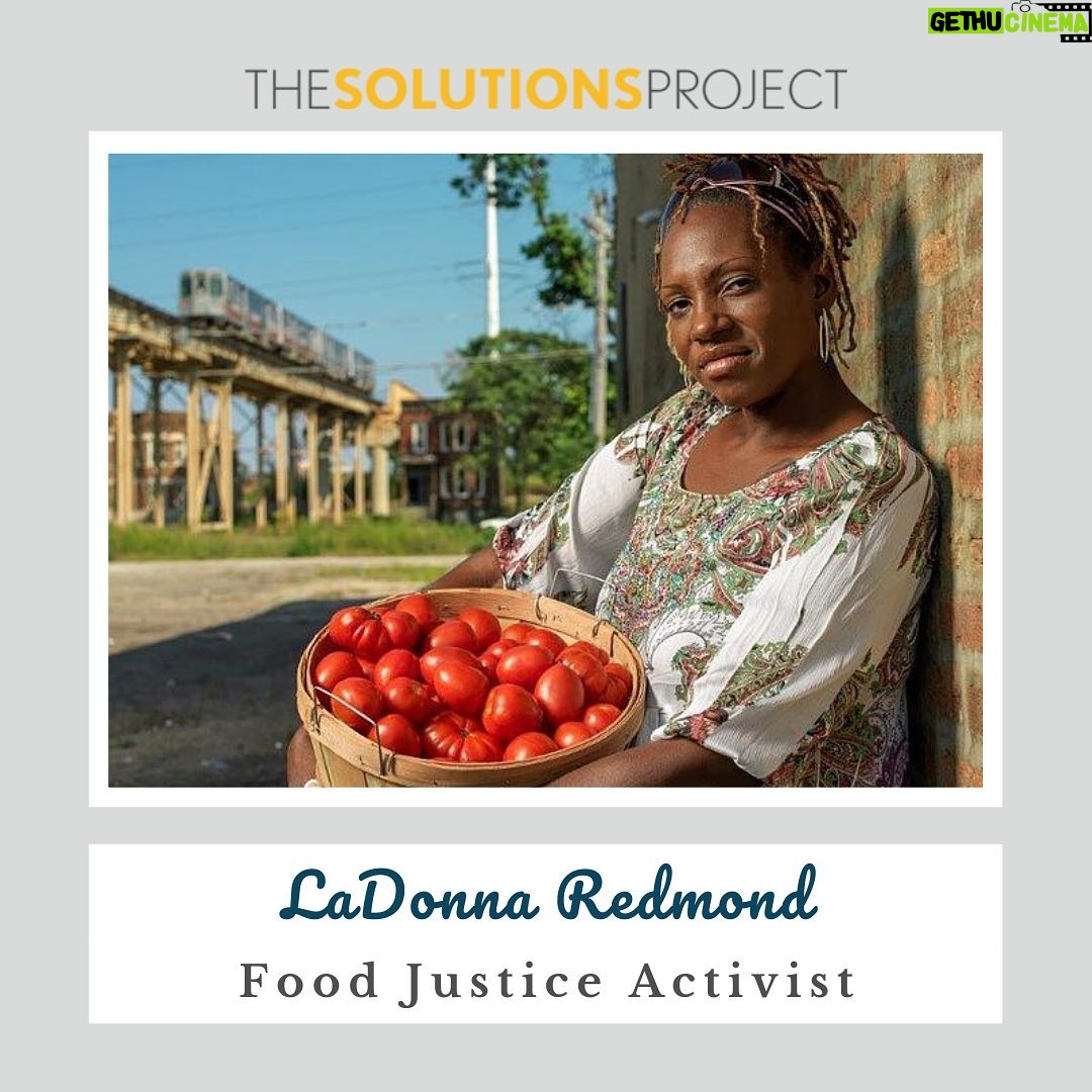 Regina Hall Instagram - My #WCW today highlights #Minneapolis based food justice advocate LaDonna Redmond. @LaDonnaRedmond began her career in advocacy after facing limited access to nutritious, organic food in her native Chicago community. LAdonna has successfully worked to get the Chicago Public Schools (@chipubschools) to change policies on #JunkFood, launched urban agriculture projects, started a community grocery store, and worked on federal farm policy to expand access to healthy food in low-income communities. LaDonna continues to challenge food producers and consumers to examine the inequalities in the #FoodSystem and seek solutions that don’t negatively impact on the rights of #ImmigrantLaborers or people of color living in low-income communities. “What is needed is a new and vibrant food system, one that has at its core #equity and #justice. It will take all of us to create a vibrant, strong, economically viable environmentally sound and socially just food system.”