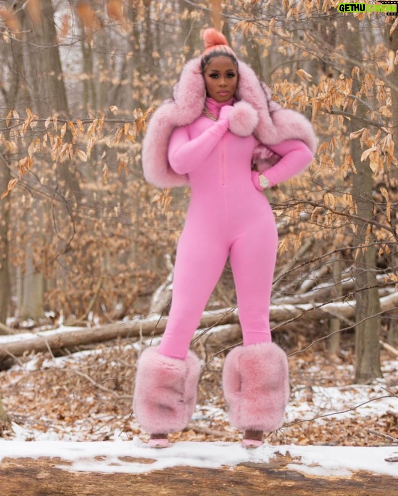 Remy Ma Instagram - Did somebody say it’s snowing ?❄️ 💕 @danielsleather Custom fur muff, leg warmers, & hooded shawl ! - hit him up for yours -Any color! 📸 @danielvasquezphotos #AllPinkEverything #RemyMa #ShesComing