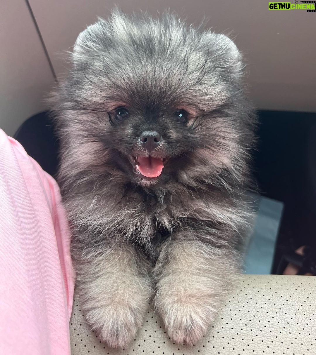 Reya Sunshine Instagram - Introducing the newest member of the Sunshine family! ☀️ Meet Baby Colossus 🐾 @colossusofsunshine
