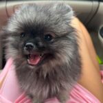 Reya Sunshine Instagram - Introducing the newest member of the Sunshine family! ☀️ Meet Baby Colossus 🐾 @colossusofsunshine