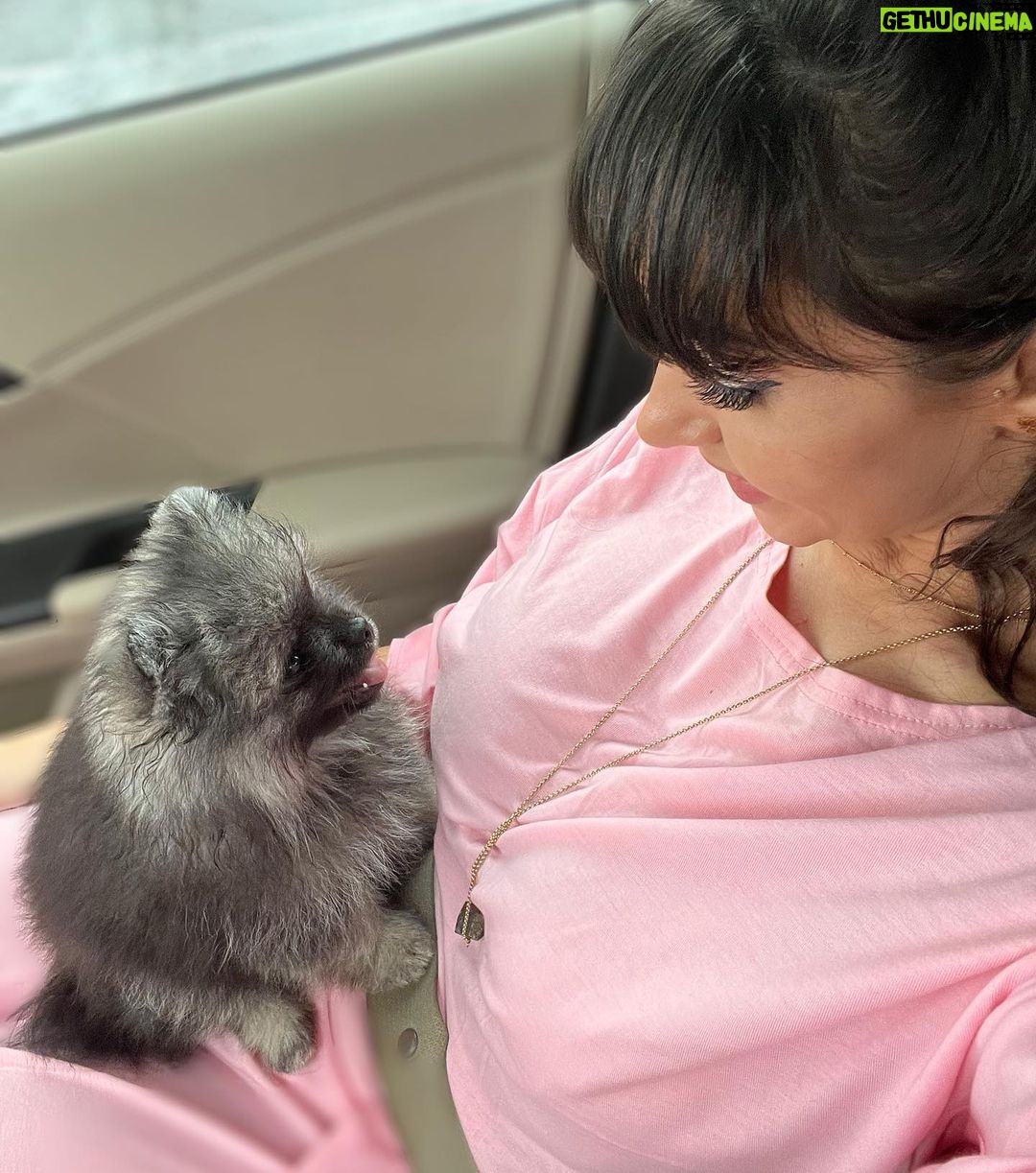 Reya Sunshine Instagram - Introducing the newest member of the Sunshine family! ☀️ Meet Baby Colossus 🐾 @colossusofsunshine