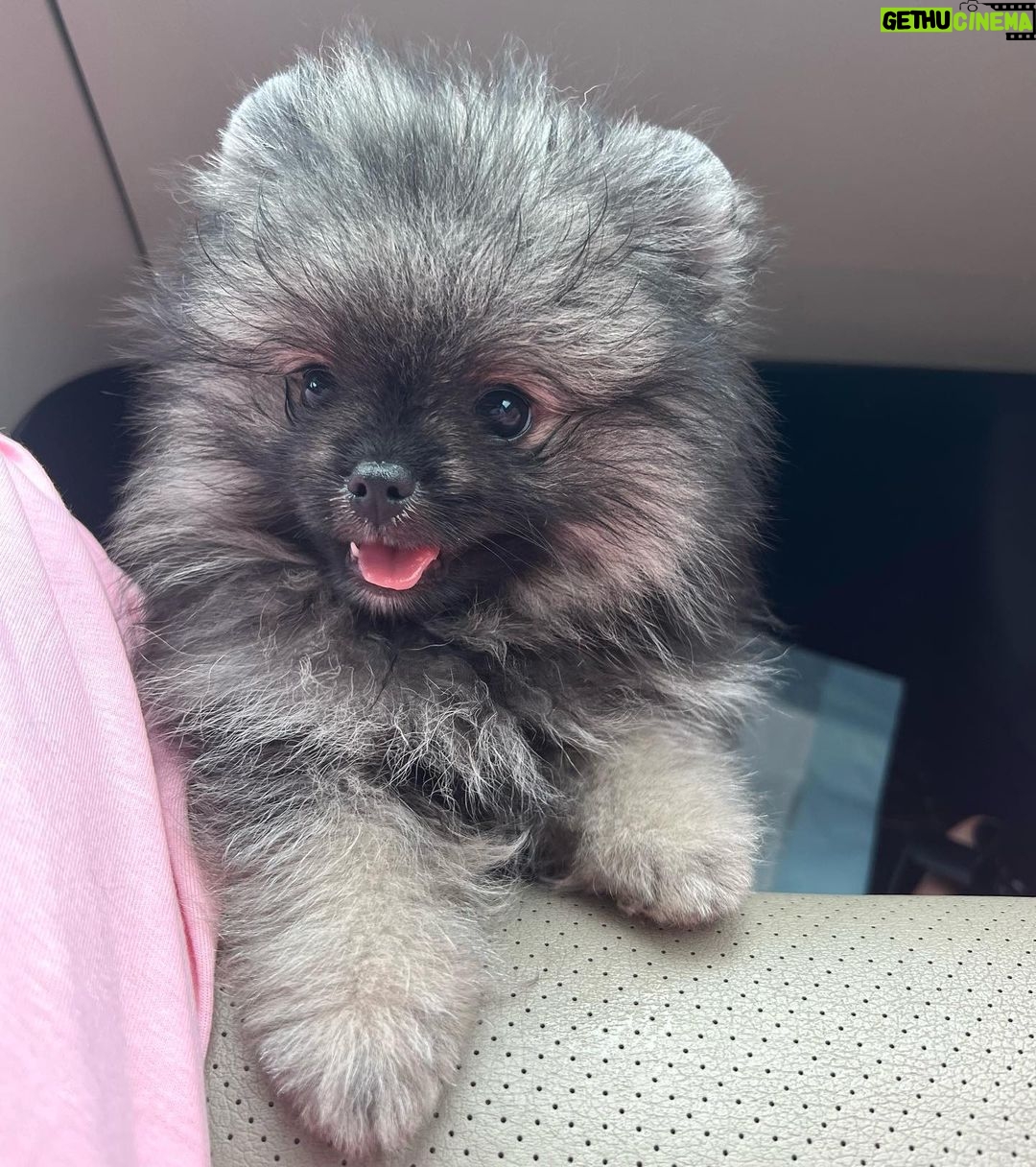 Reya Sunshine Instagram - Introducing the newest member of the Sunshine family! ☀️ Meet Baby Colossus 🐾 @colossusofsunshine
