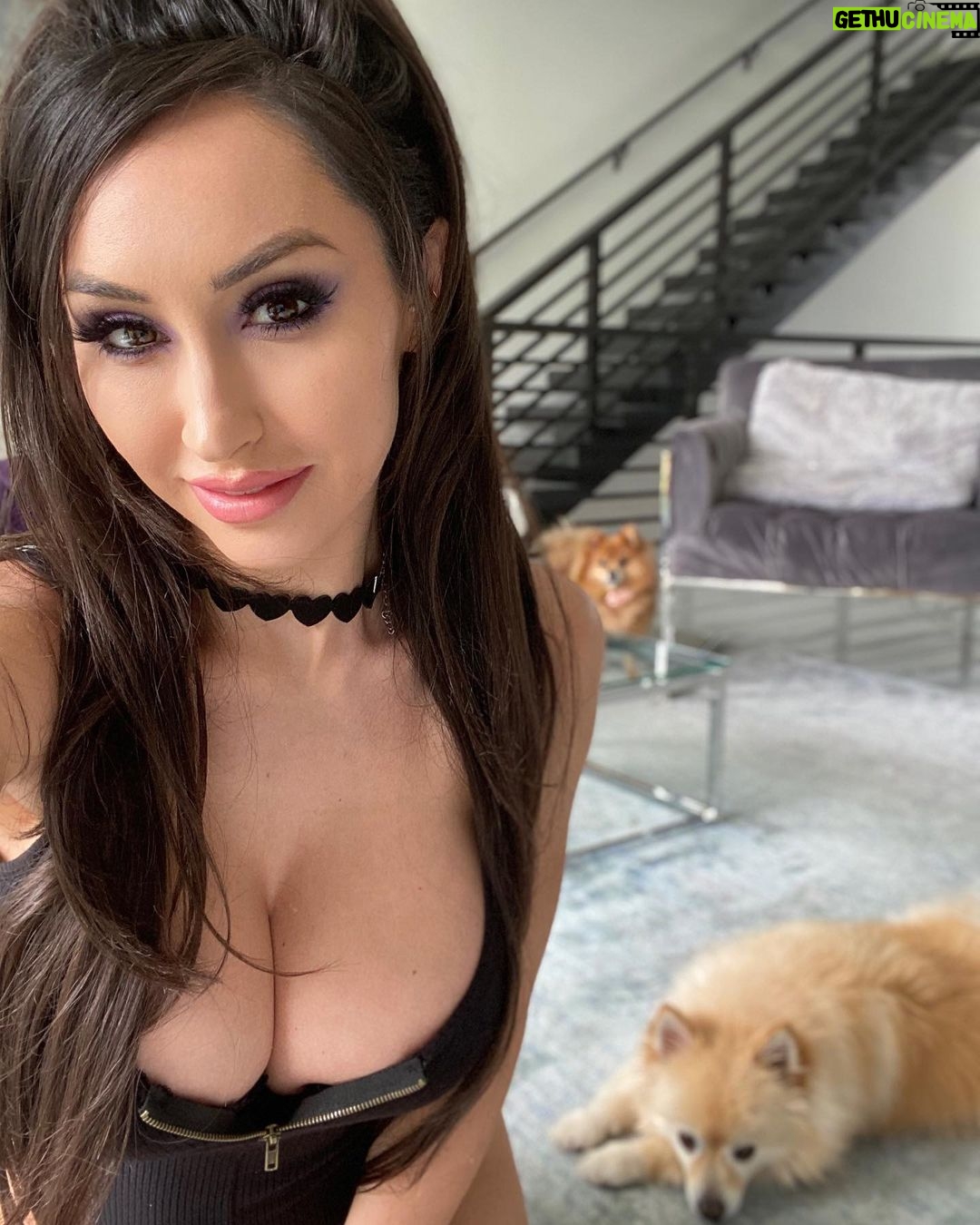 Reya Sunshine Instagram - I has a couple of cute shadows 🤗💓 Dogs are one of my favorite things on this planet... who else feels the same way? ❤️