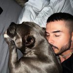 Reykon Instagram – Y si solo dormimos? MedaYork