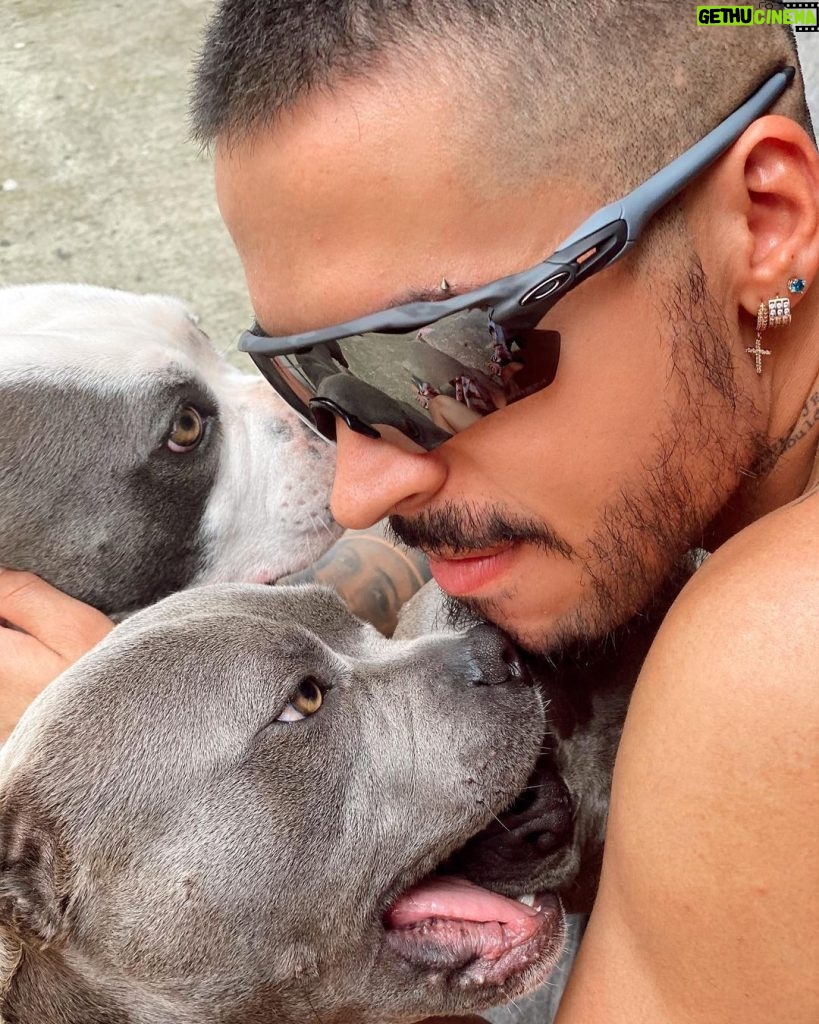 Reykon Instagram - Ellos y yo!! Les gustan estos perros? #Mochilera