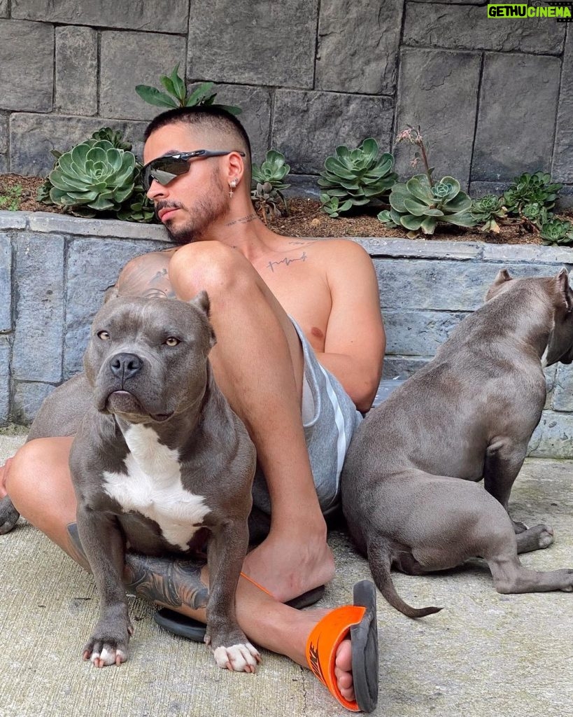 Reykon Instagram - Ellos y yo!! Les gustan estos perros? #Mochilera
