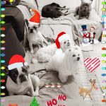 Reynaldo Gianecchini Instagram - Feliz Natal!!❤️🙌