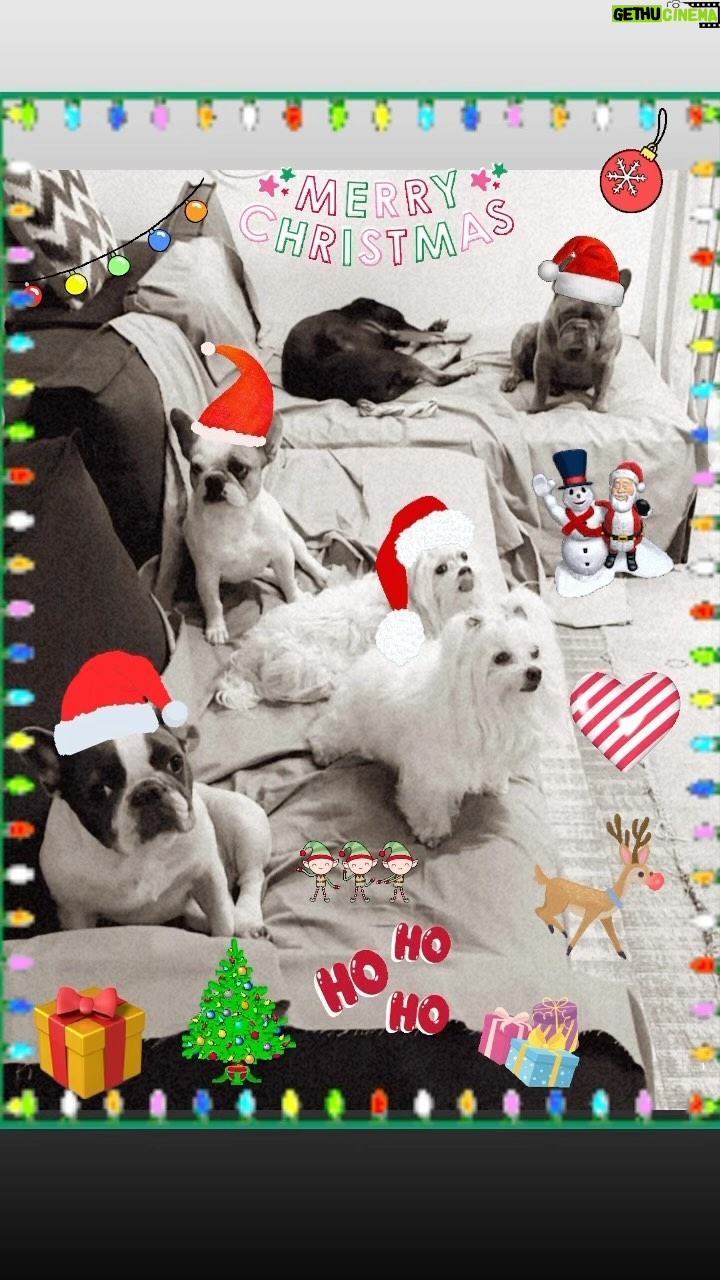 Reynaldo Gianecchini Instagram - Feliz Natal!!❤️🙌