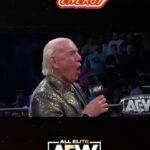 Ric Flair Instagram - WOOOOO! Electric energy at @aew⚡️ Powered by // @woooooenergy 🔋
