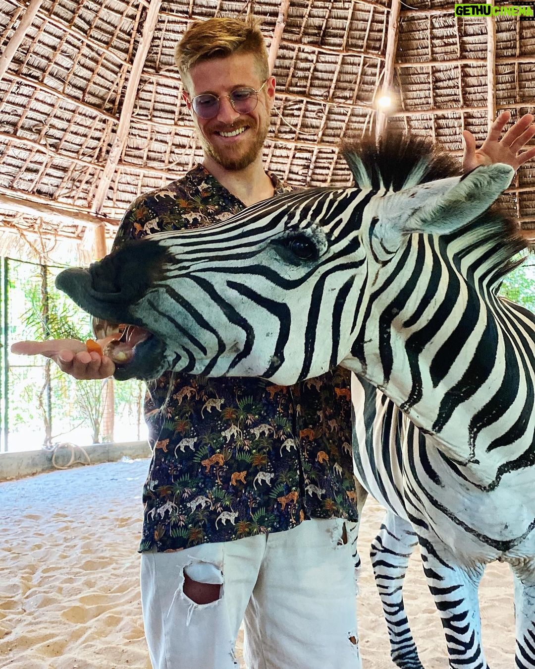 Riccardo Dose - 108.3K Likes - HO RISCHIATO DI DIVENTARE IL SUO SPUNTINO PROTEICO.
In assoluto uno delle esperienze più belle della mia vita.
Tutti gli animali che vedete si trovano all’interno di una riserva naturale e sono stati salvati da condizioni disumane a cui l’uomo gli aveva obbligati a vivere.
Come sempre le uniche BESTIE siamo noi.