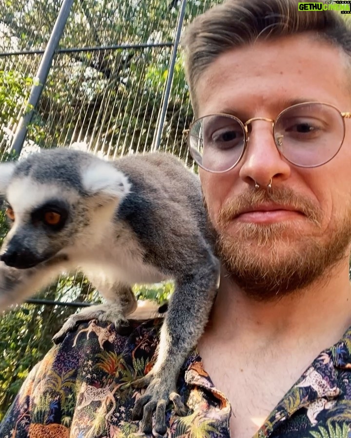 Riccardo Dose - 108.3K Likes - HO RISCHIATO DI DIVENTARE IL SUO SPUNTINO PROTEICO.
In assoluto uno delle esperienze più belle della mia vita.
Tutti gli animali che vedete si trovano all’interno di una riserva naturale e sono stati salvati da condizioni disumane a cui l’uomo gli aveva obbligati a vivere.
Come sempre le uniche BESTIE siamo noi.