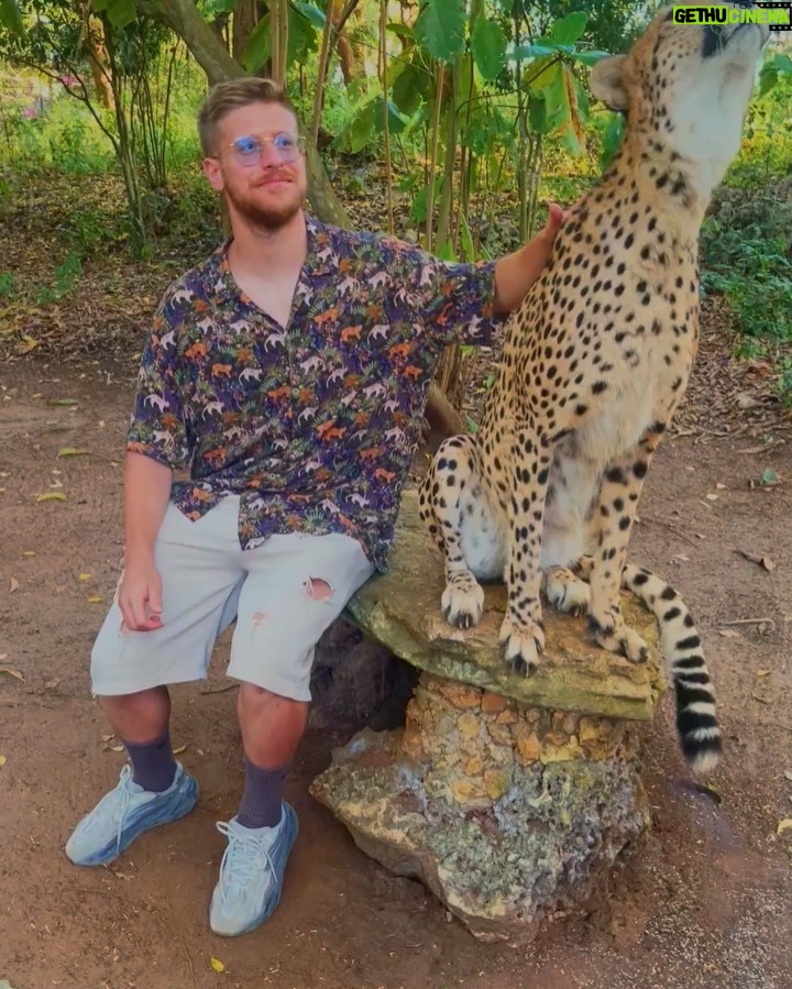 Riccardo Dose - 108.3K Likes - HO RISCHIATO DI DIVENTARE IL SUO SPUNTINO PROTEICO.
In assoluto uno delle esperienze più belle della mia vita.
Tutti gli animali che vedete si trovano all’interno di una riserva naturale e sono stati salvati da condizioni disumane a cui l’uomo gli aveva obbligati a vivere.
Come sempre le uniche BESTIE siamo noi.