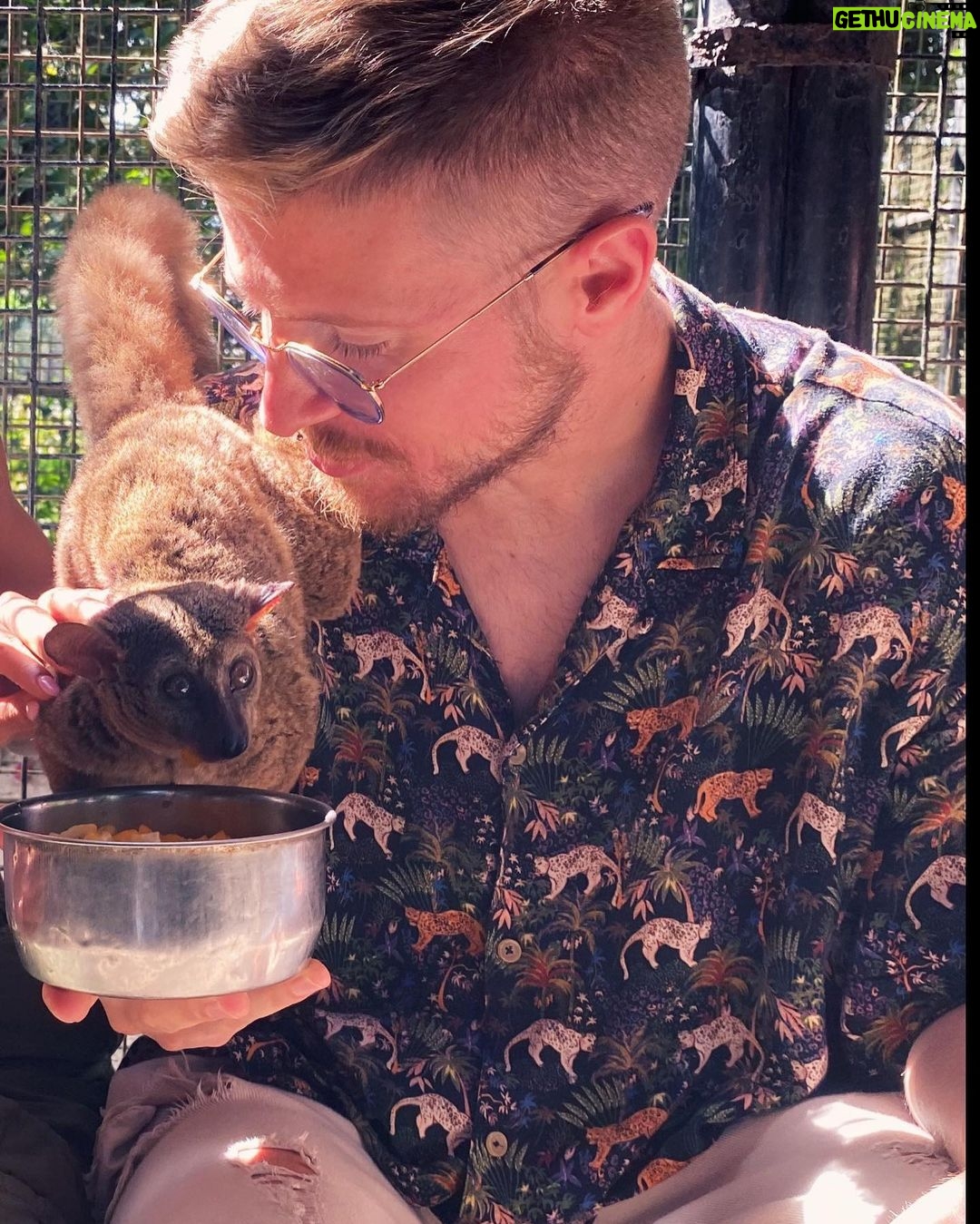 Riccardo Dose - 108.3K Likes - HO RISCHIATO DI DIVENTARE IL SUO SPUNTINO PROTEICO.
In assoluto uno delle esperienze più belle della mia vita.
Tutti gli animali che vedete si trovano all’interno di una riserva naturale e sono stati salvati da condizioni disumane a cui l’uomo gli aveva obbligati a vivere.
Come sempre le uniche BESTIE siamo noi.