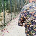 Riccardo Dose Instagram - HO RISCHIATO DI DIVENTARE IL SUO SPUNTINO PROTEICO. In assoluto uno delle esperienze più belle della mia vita. Tutti gli animali che vedete si trovano all’interno di una riserva naturale e sono stati salvati da condizioni disumane a cui l’uomo gli aveva obbligati a vivere. Come sempre le uniche BESTIE siamo noi. Zanzibar, Tanzania
