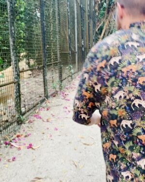Riccardo Dose Instagram - HO RISCHIATO DI DIVENTARE IL SUO SPUNTINO PROTEICO. 

In assoluto uno delle esperienze più belle della mia vita. 
Tutti gli animali che vedete si trovano all’interno di una riserva naturale e sono stati salvati da condizioni disumane a cui l’uomo gli aveva obbligati a vivere. 
Come sempre le uniche BESTIE siamo noi.