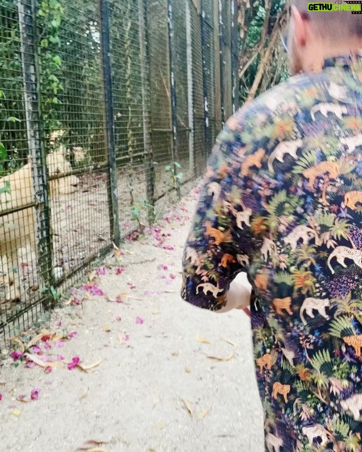 Riccardo Dose - 108.3K Likes - HO RISCHIATO DI DIVENTARE IL SUO SPUNTINO PROTEICO.
In assoluto uno delle esperienze più belle della mia vita.
Tutti gli animali che vedete si trovano all’interno di una riserva naturale e sono stati salvati da condizioni disumane a cui l’uomo gli aveva obbligati a vivere.
Come sempre le uniche BESTIE siamo noi.
