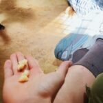 Riccardo Dose Instagram - HO RISCHIATO DI DIVENTARE IL SUO SPUNTINO PROTEICO. In assoluto uno delle esperienze più belle della mia vita. Tutti gli animali che vedete si trovano all’interno di una riserva naturale e sono stati salvati da condizioni disumane a cui l’uomo gli aveva obbligati a vivere. Come sempre le uniche BESTIE siamo noi. Zanzibar, Tanzania